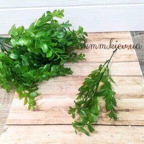 Самшит полупрозрачный Зеленый Премиум