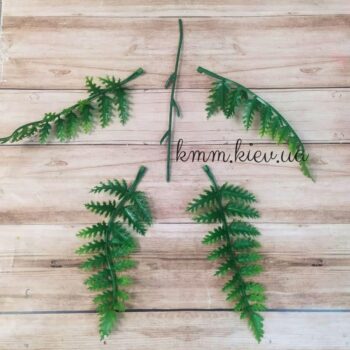 Папоротник Зеленый декоративный