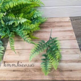 Папоротник Светло-зеленый