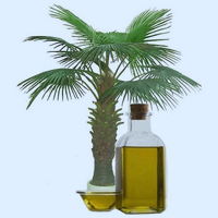 Пальмова олія