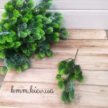 Хвоя мелкая Светло-зеленая