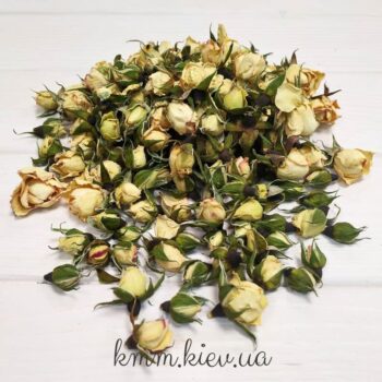 Бутоны розы белой