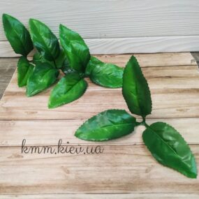 Три листа с насадкой на стебель