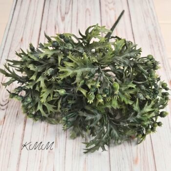 Брусника декоративная - Зеленый