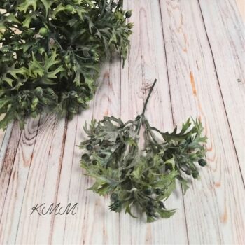 Брусника декоративная - Зеленый