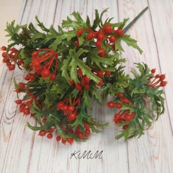 Брусника декоративная - Красный