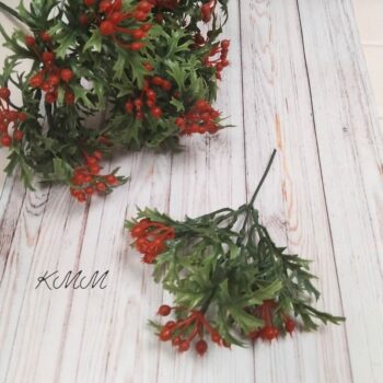 Брусника декоративная - Красный