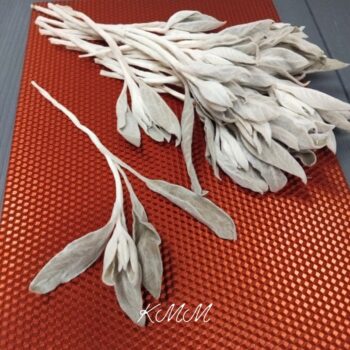 Чистец (стахис) натуральный