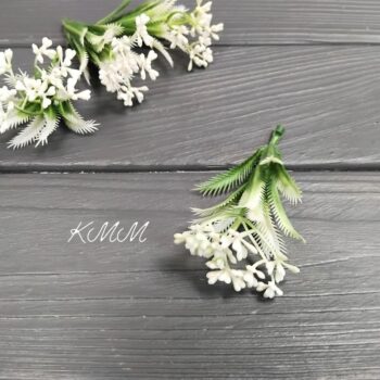 Добавка Кашка полевая