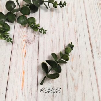 Добавка Эвкалипт