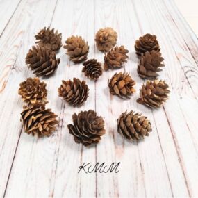 Шишка натуральная