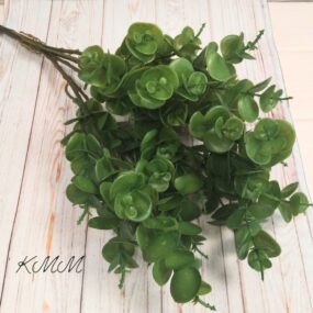 Эвкалипт Элит зеленый