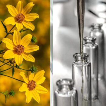 Гидролат череды