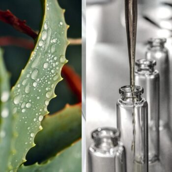 Гидролат алоэ