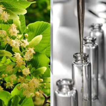 Гидролат липы Болгария