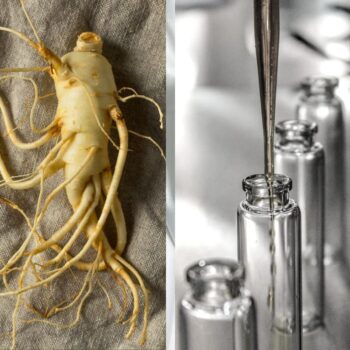 Гидролат женьшеня