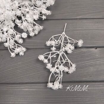 Гипсофила Белоснежная декоративная