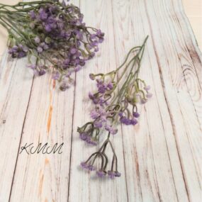 гипсофила лавандовая