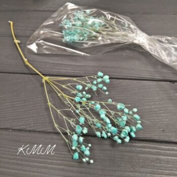 Гипсофила Бирюзовая