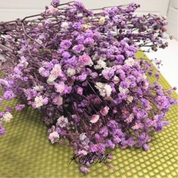 Гипсофила Сиреневая