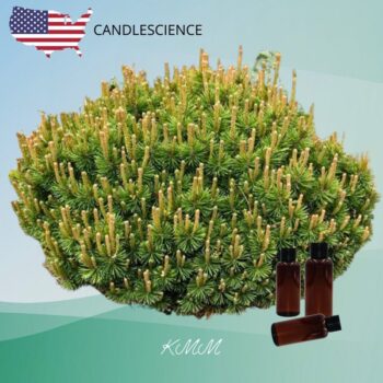 Отдушка Горная сосна США (Сandlescience) 5 мл