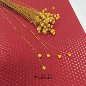 Гликсия Желтая