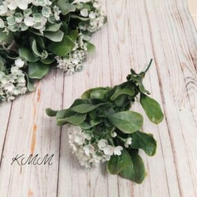 Гортензия Белая декоративная