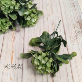 Гортензия Зеленая декоративнаядекоративная