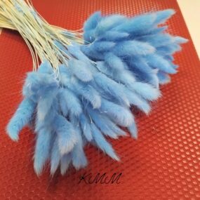 Лагурус голубой