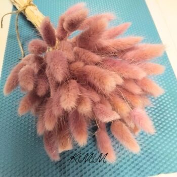 Лагурус лиловый