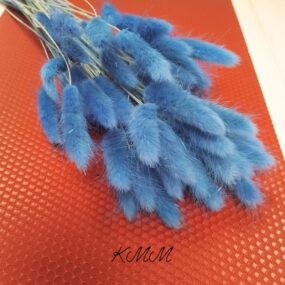 Лагурус синий