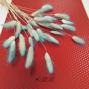 Лагурус градиент