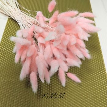 Лагурус нежно-розовый