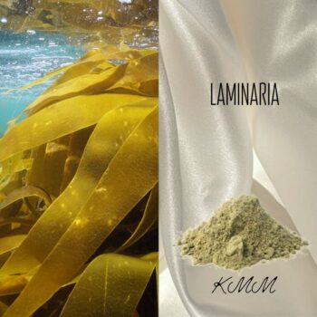 laminariya