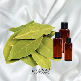 Масло лавра холодного отжима