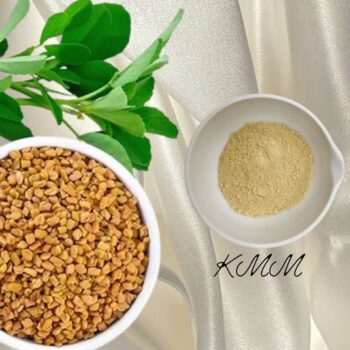 Экстракт пажитника