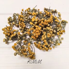 Пижма цветы сухоцвет