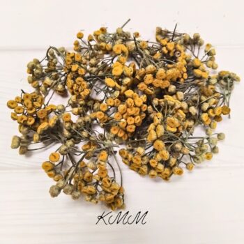 Пижма цветы сухоцвет