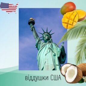 Отдушки (ароматизаторы) США