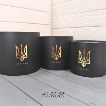 коробка чорна з тризубом