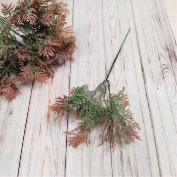 Туя розово-зеленая декоративная - ветка