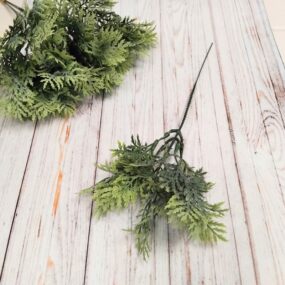 Туя зеленая декоративная - ветка