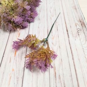 Туя сиреневая декоративная