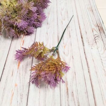 tuyabuz (2) Туя сиреневая декоративная