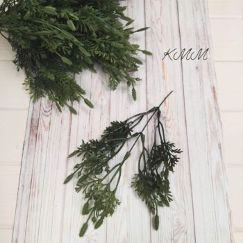 Туя с шишками декоративная Зеленая