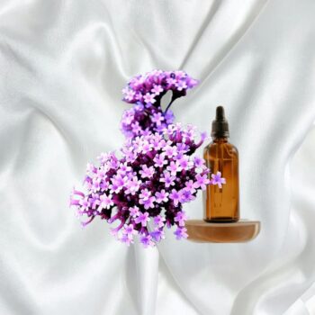 Эфирное масло вербены