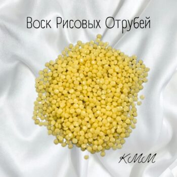 ViskRysovyhVysivok4576